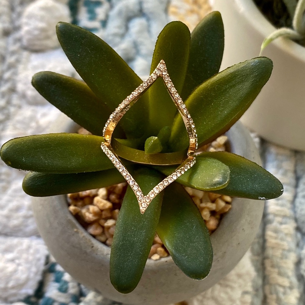 Rose Gold Ring